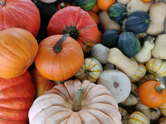 f:id:rico_log:20200914055144j:image