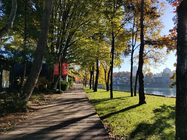 f:id:rico_log:20201102055434j:image