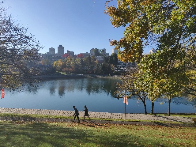 f:id:rico_log:20201102055449j:image