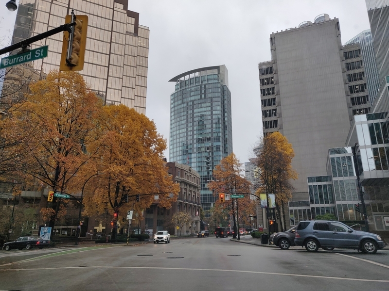 f:id:rico_log:20201121062708j:plain