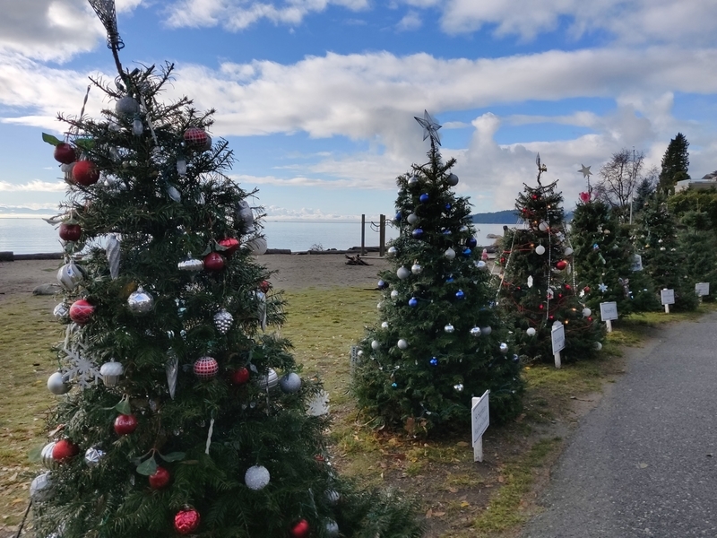 f:id:rico_log:20201210141553j:plain