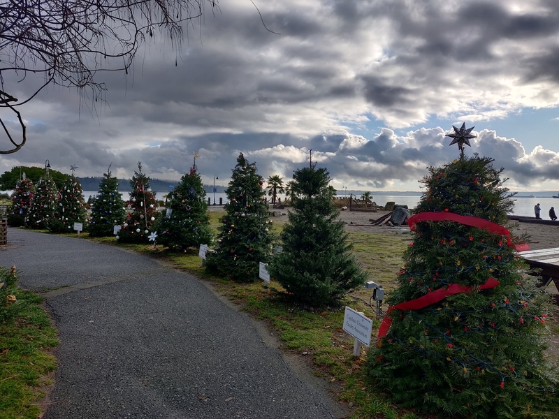 f:id:rico_log:20201210141606j:plain