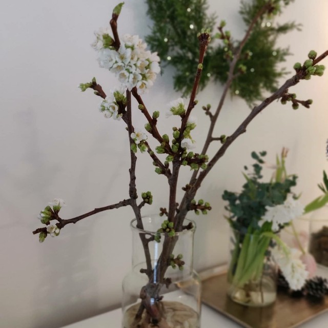 f:id:rico_log:20210218123334j:image f:id:rico_log:20210218123334j:image