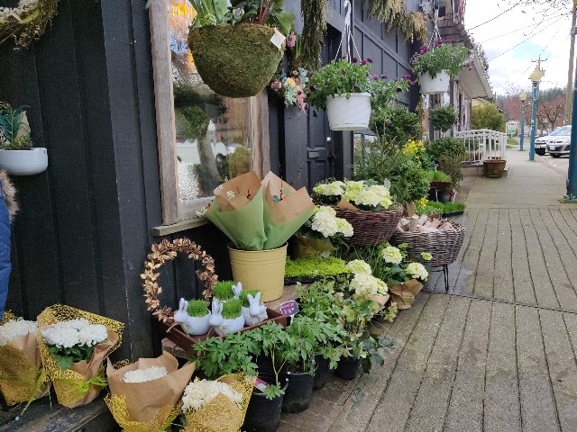 f:id:rico_log:20210327074358j:image f:id:rico_log:20210327074358j:image