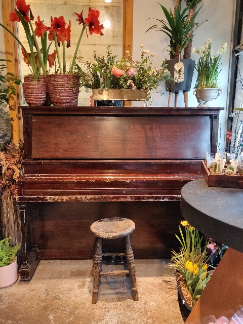 f:id:rico_log:20210327074408j:image f:id:rico_log:20210327074408j:image