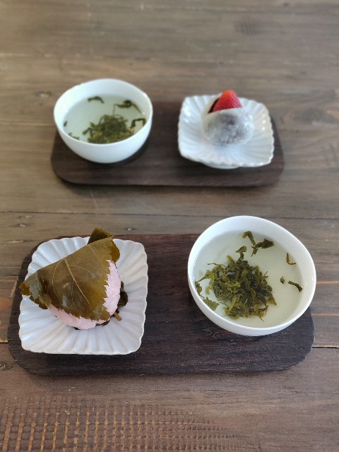 f:id:rico_log:20210327074458j:image f:id:rico_log:20210327074458j:image