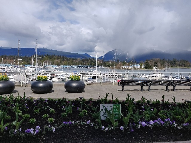 f:id:rico_log:20210405062009j:image f:id:rico_log:20210405062009j:image