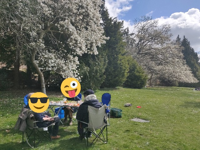 f:id:rico_log:20210412072537j:image f:id:rico_log:20210412072537j:image