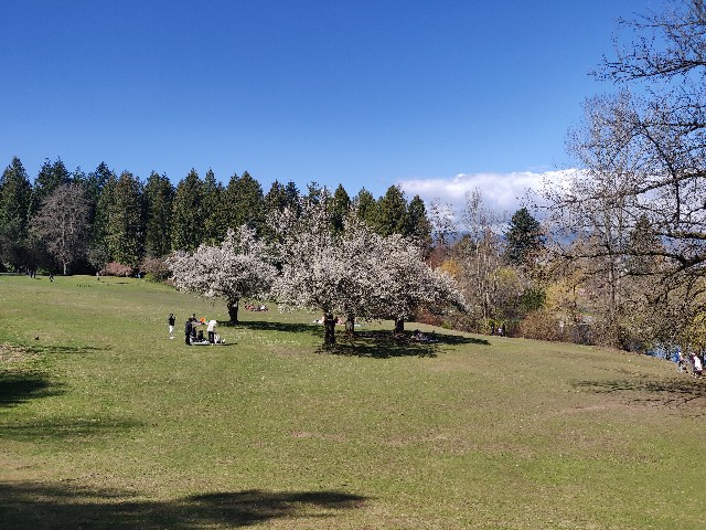 f:id:rico_log:20210412072554j:image f:id:rico_log:20210412072554j:image