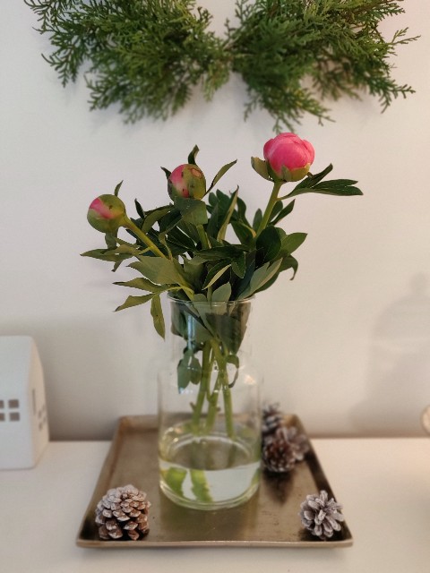 f:id:rico_log:20210511045944j:image f:id:rico_log:20210511045944j:image