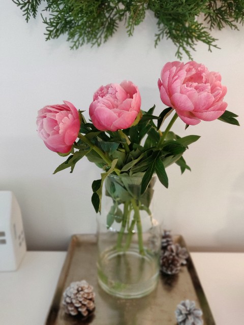 f:id:rico_log:20210511050015j:image f:id:rico_log:20210511050015j:image