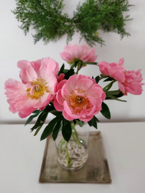 f:id:rico_log:20210523232131j:image