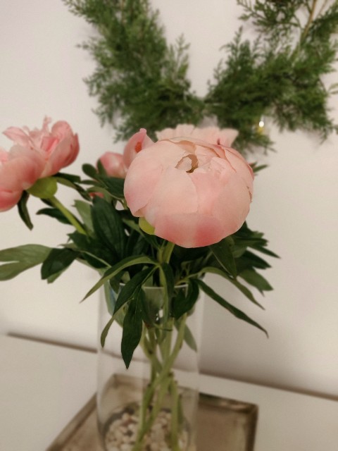 f:id:rico_log:20210524234710j:image