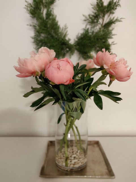 f:id:rico_log:20210524234722j:image