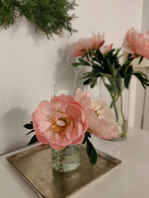 f:id:rico_log:20210524234742j:image