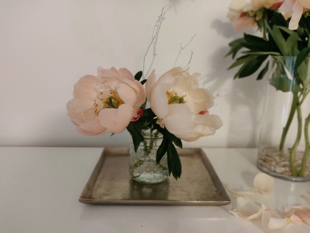 f:id:rico_log:20210527065937j:image