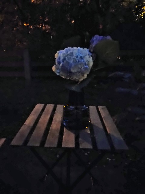 f:id:rico_log:20210712133739j:image