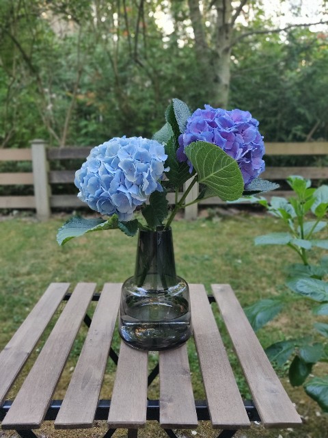 f:id:rico_log:20210712133750j:image