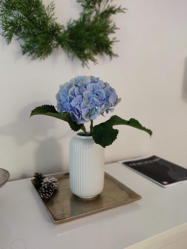 f:id:rico_log:20210717052055j:plain