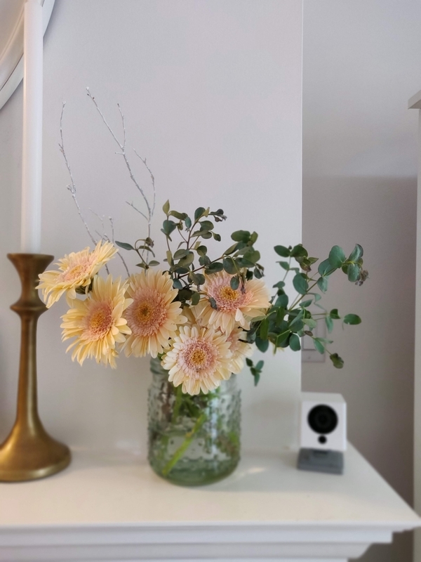 f:id:rico_log:20210717052131j:plain