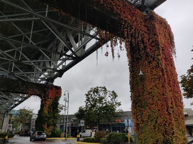 f:id:rico_log:20211018044414j:image