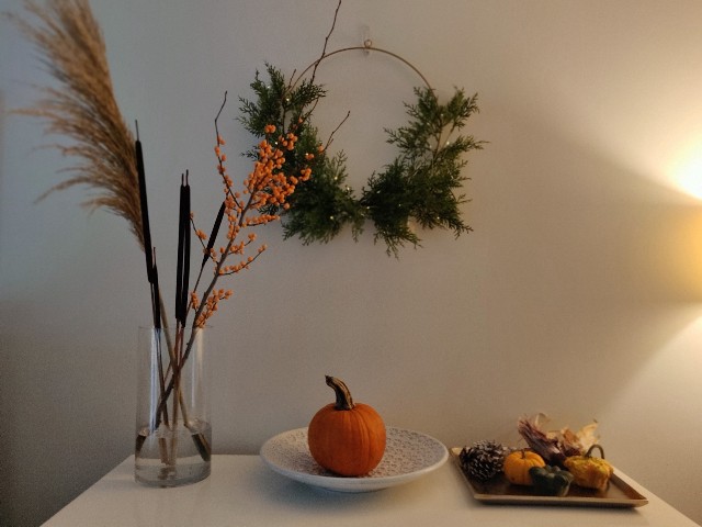 f:id:rico_log:20211018051016j:image