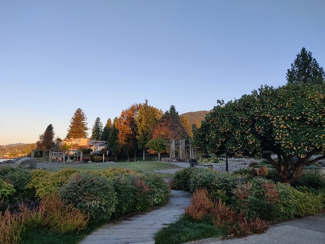 f:id:rico_log:20211031051737j:image