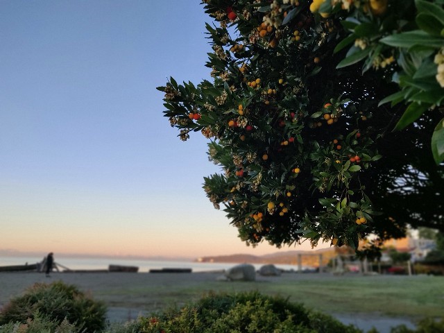 f:id:rico_log:20211031051748j:image