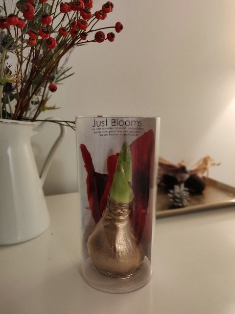 f:id:rico_log:20211122022348j:image