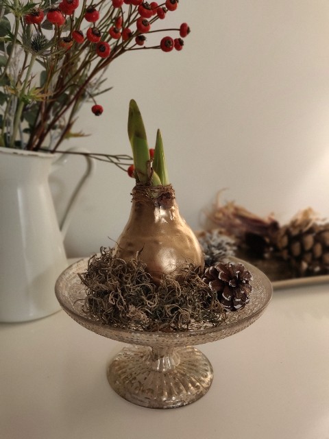 f:id:rico_log:20211122022357j:image