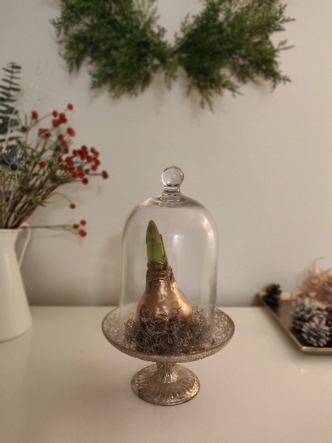 f:id:rico_log:20211122022405j:image