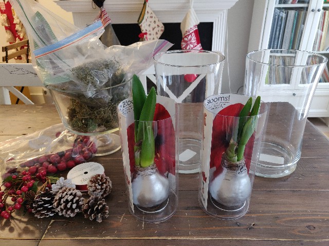 f:id:rico_log:20211207064747j:image f:id:rico_log:20211207064747j:image