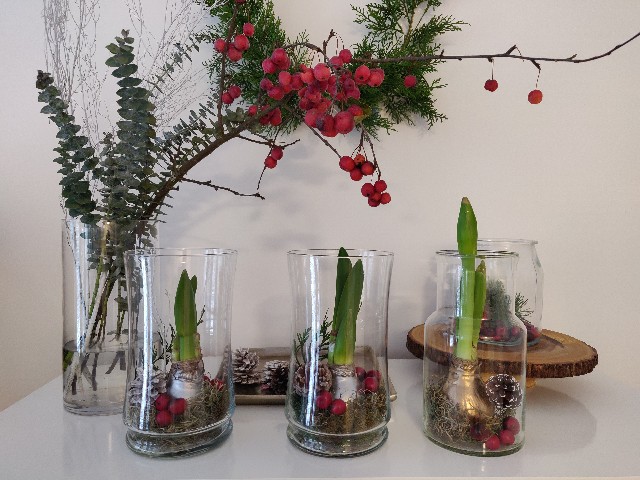 f:id:rico_log:20211207064756j:image f:id:rico_log:20211207064756j:image