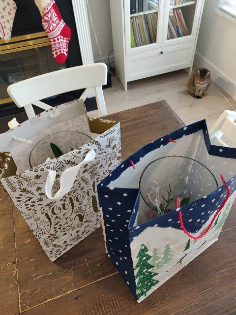 f:id:rico_log:20211207064807j:image f:id:rico_log:20211207064807j:image