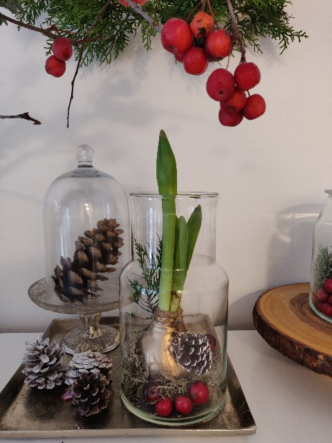 f:id:rico_log:20211207070217j:image f:id:rico_log:20211207070217j:image