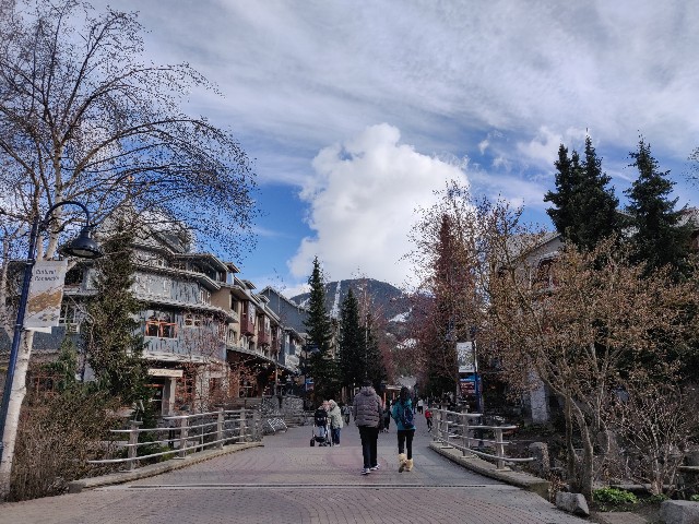 f:id:rico_log:20220515005844j:image