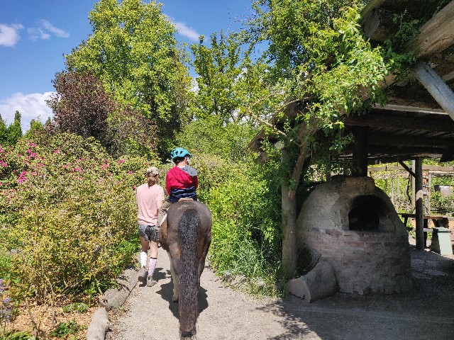 f:id:rico_log:20220522091734j:image f:id:rico_log:20220522091734j:image