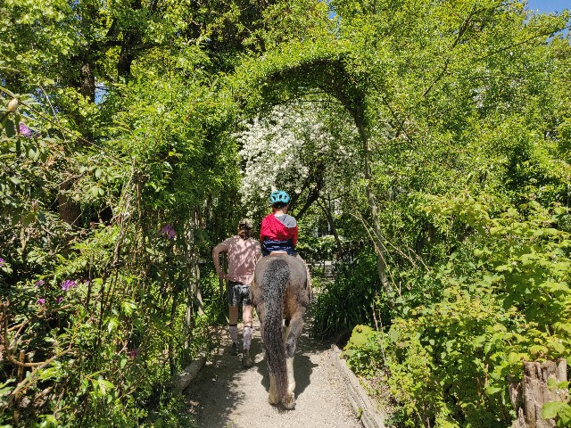 f:id:rico_log:20220522091814j:image f:id:rico_log:20220522091814j:image