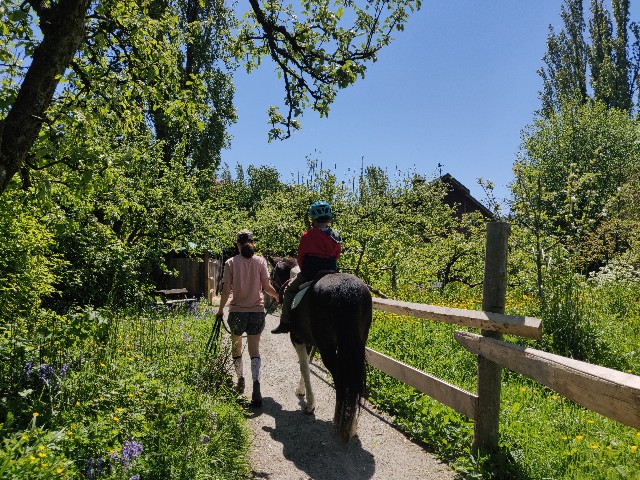 f:id:rico_log:20220522091901j:image f:id:rico_log:20220522091901j:image