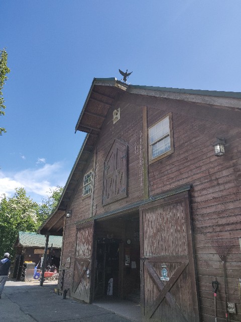 f:id:rico_log:20220522091925j:image f:id:rico_log:20220522091925j:image