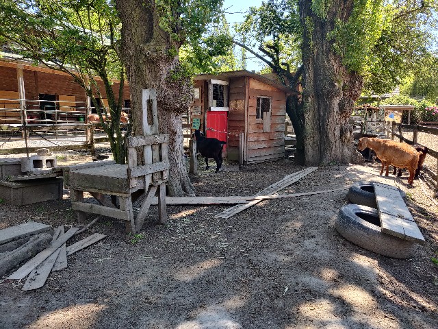 f:id:rico_log:20220522091938j:image f:id:rico_log:20220522091938j:image