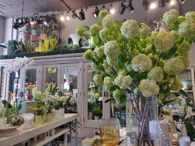 f:id:rico_log:20220522092009j:image f:id:rico_log:20220522092009j:image