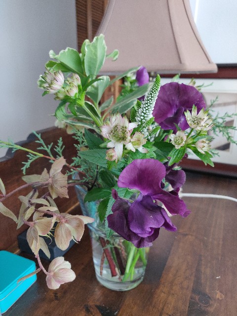 f:id:rico_log:20220522092035j:image f:id:rico_log:20220522092035j:image