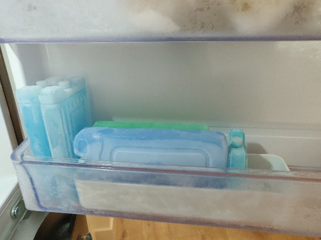 f:id:rico_log:20220801080618j:image f:id:rico_log:20220801080618j:image