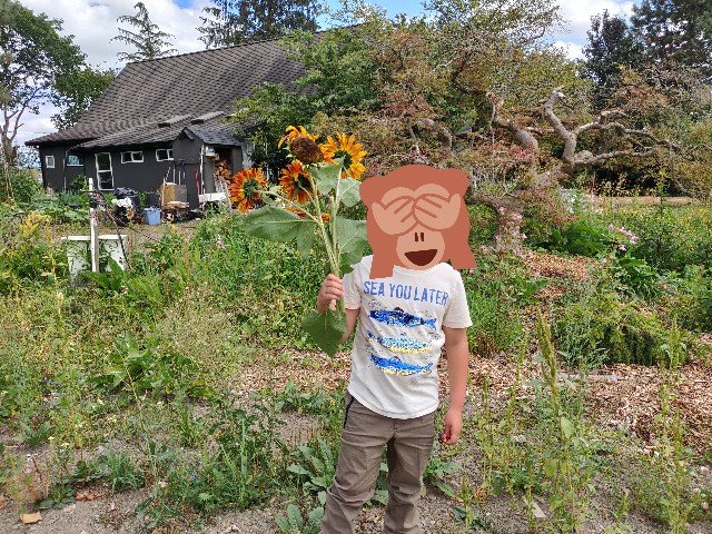f:id:rico_log:20220913060039j:image