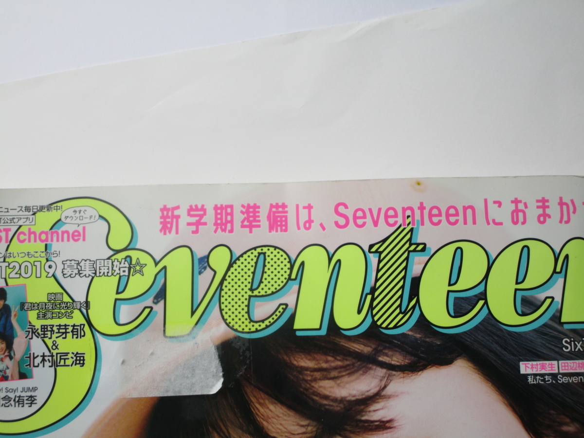 乙女チック なるもの さようなら Seventeen 書くこと 編むこと 伝えること 乙女チック なるもの さようなら Seventeen 書くこと 編むこと 伝えること