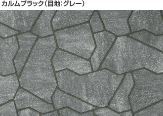 f:id:ridanbijo:20190302150158j:plain