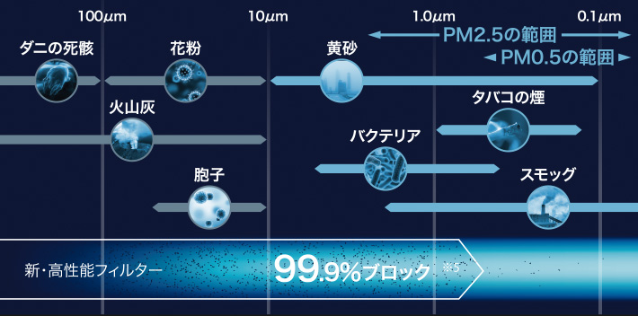 f:id:ridanbijo:20190302200032j:plain f:id:ridanbijo:20190302200032j:plain