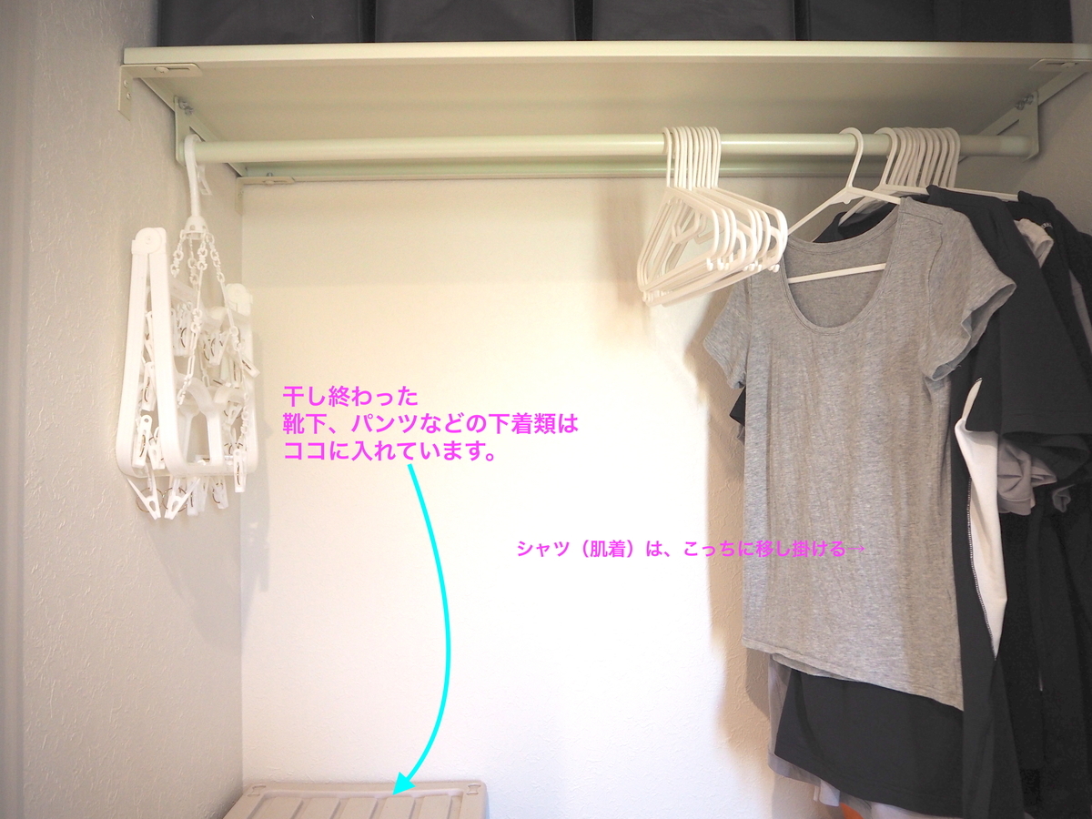 f:id:ridanbijo:20190326212921j:plain