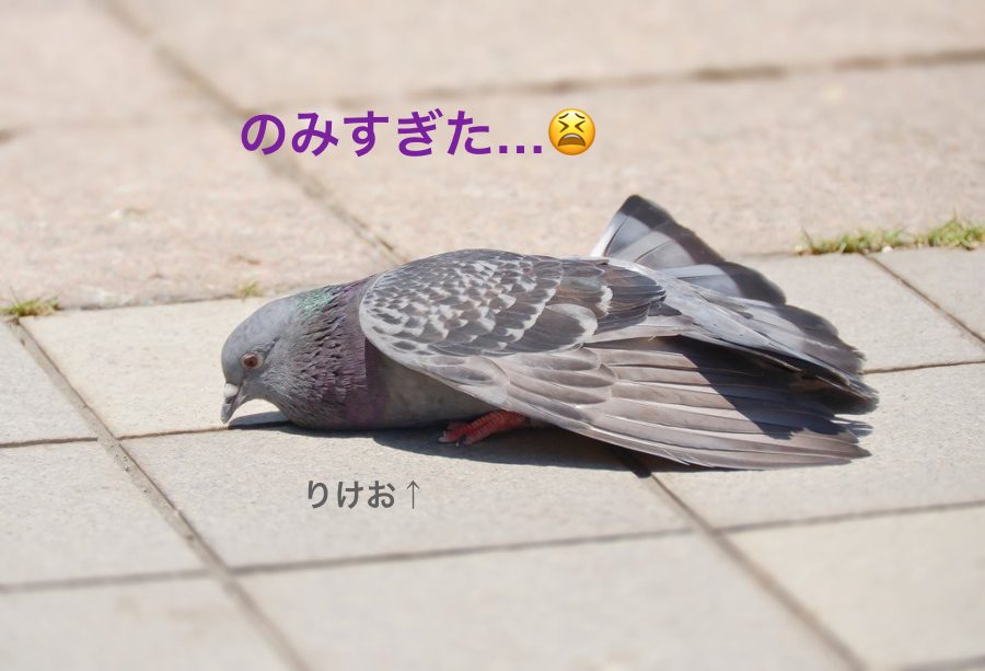 f:id:ridanbijo:20190413124413j:plain